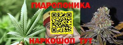 Альфа ПВП Тверь