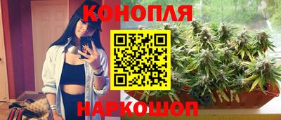 Альфа ПВП Тверь