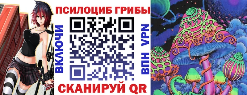 Галлюциногенные грибы Psilocybe  Узловая 