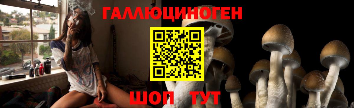 Псилоцибиновые грибы Psilocybine cubensis  Вход с VPN  как найти закладки  Узловая  Псилоцибиновые грибы MAGIC MUSHROOMS 